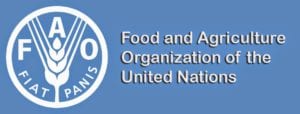 Food And Agriculture Organization