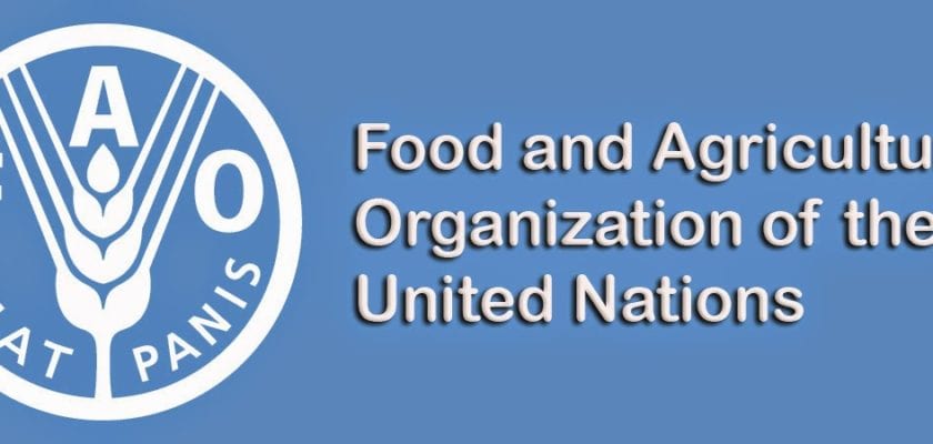 Food And Agriculture Organization