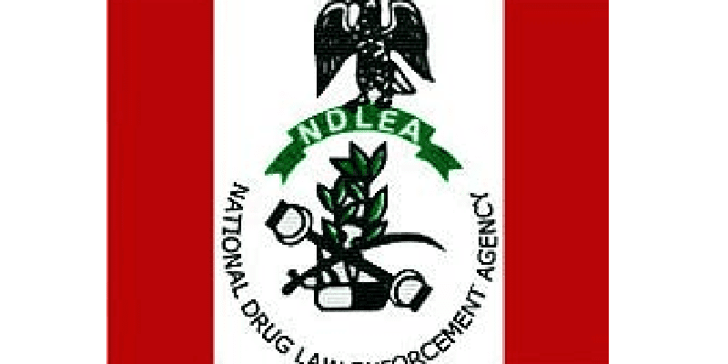 Ndlea