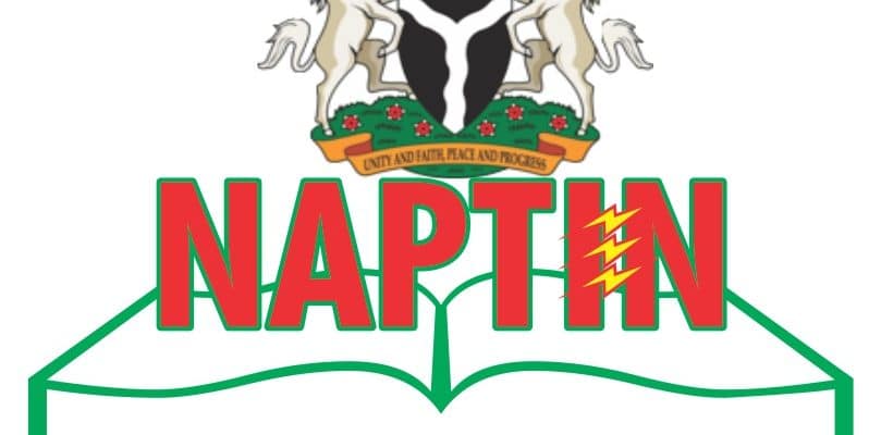 National Power Training Institute Of Nigeria - Naptin