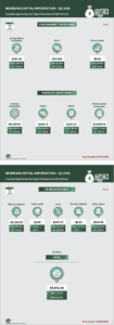 Capital Importation