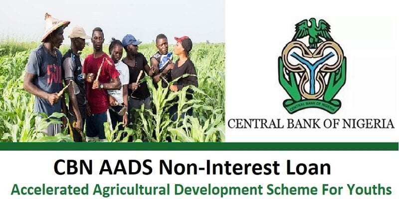 Accelerated Agricultural Development Scheme - Aads Loan