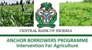 Cbn Anchor Borrowers Programme