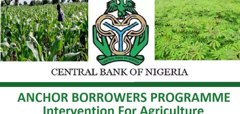 Cbn Anchor Borrowers Programme