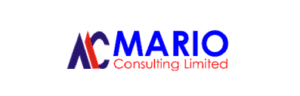 Mario Consulting Limited