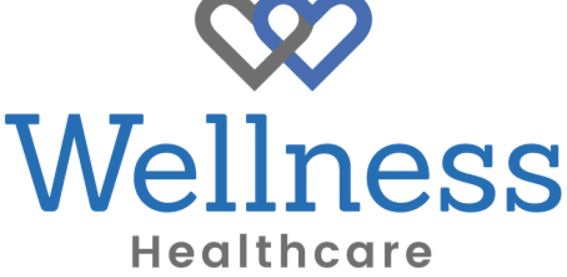 Wellness Healthcare Limited