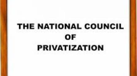 National Council On Privatization