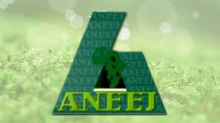 African Network For Environment And Economic Justice (Aneej)