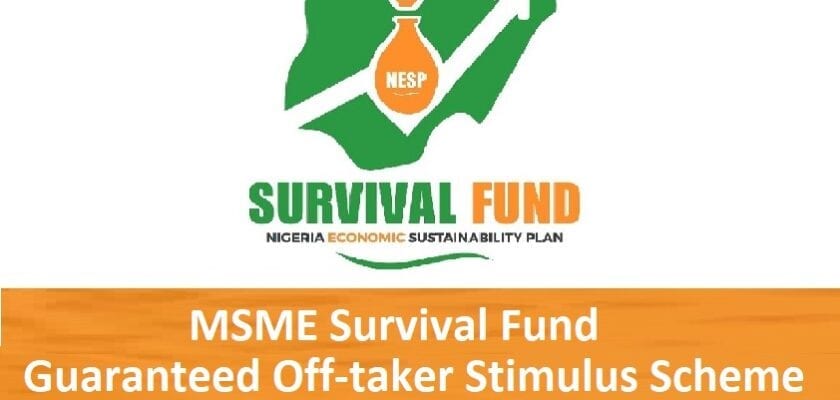 Msme Survival Fund Guaranteed Off-Taker Stimulus Scheme