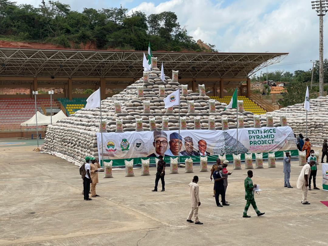 Ekiti Rice Pyramid