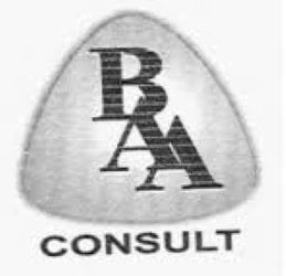 Baa Consult