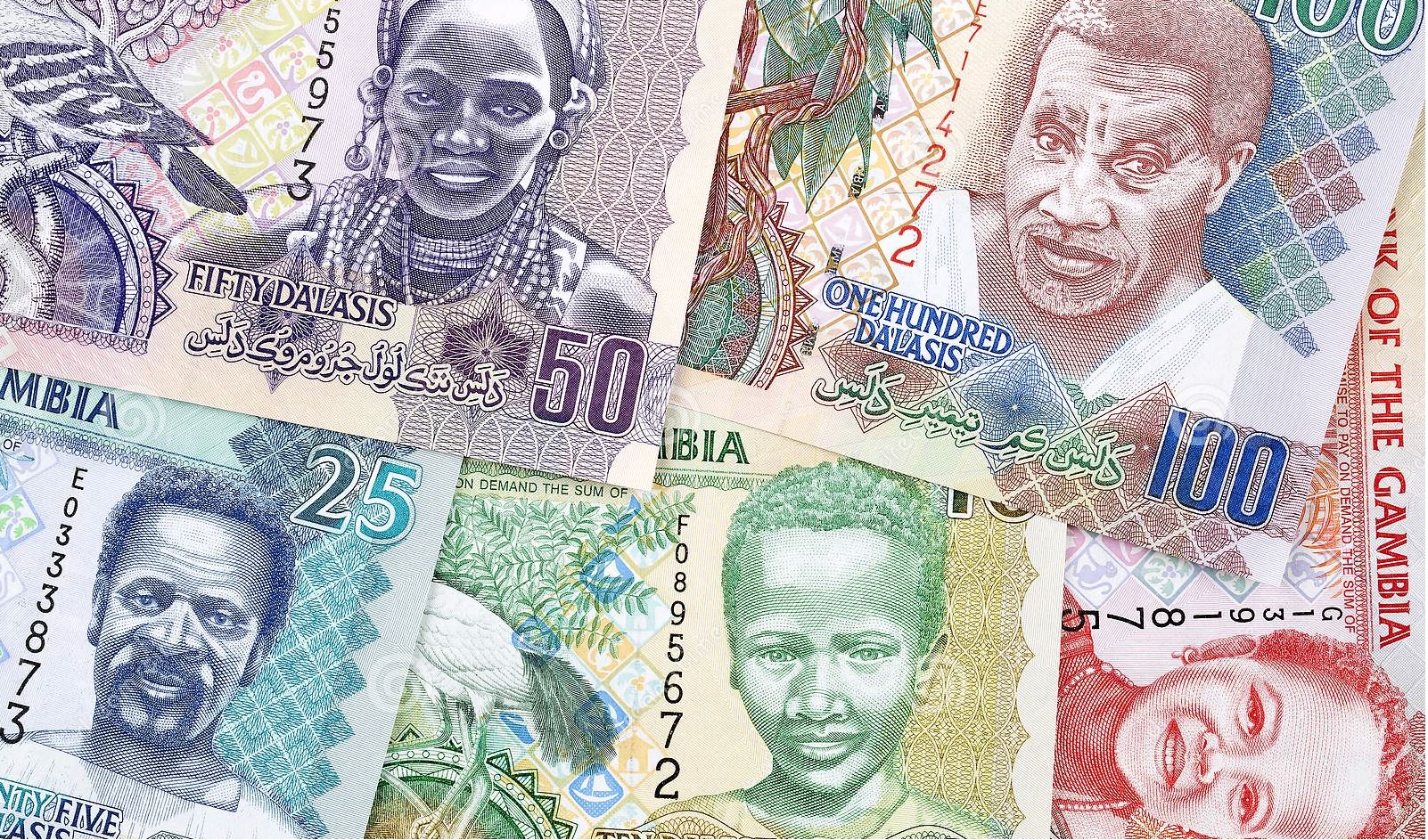 Gambian Currency