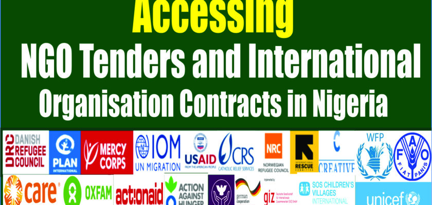 Ngo Tenders In Nigeria
