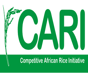 Competitive African Rice Initiative (Cari)