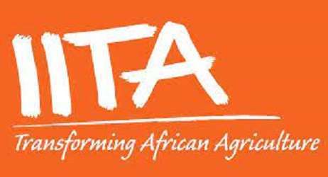 International Institute Of Tropical Agriculture