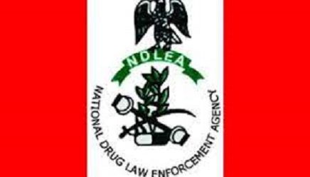 National Drug Law Enforcement Agency
