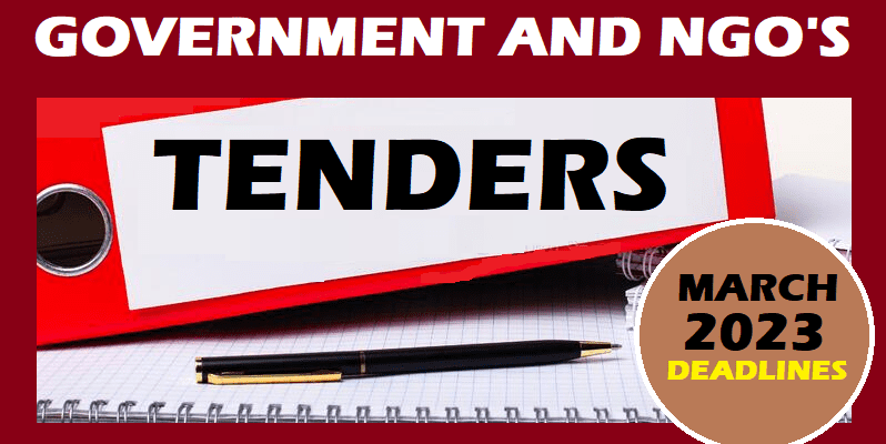 Ngo Tenders In Nigeria