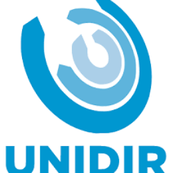 United Nations Institute For Disarmament Research (Unidir)
