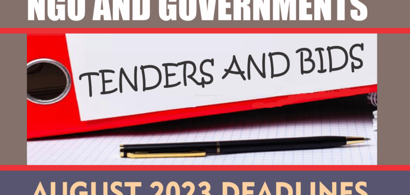 Government And Ngo Tenders And Contracts Information August 2023