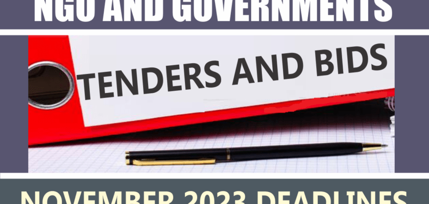 Government_Ngo Tenders In Nigeria With November 2023 Deadlines