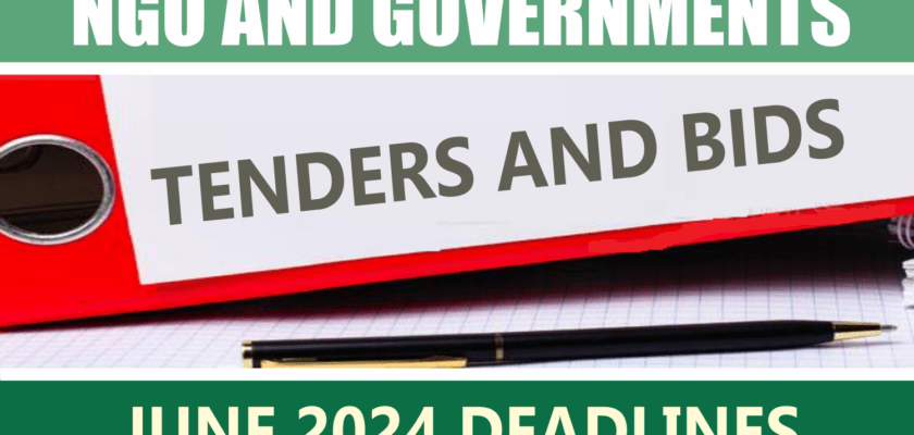 Government - Ngo Tenders In Nigeria June 2024 Deadlines