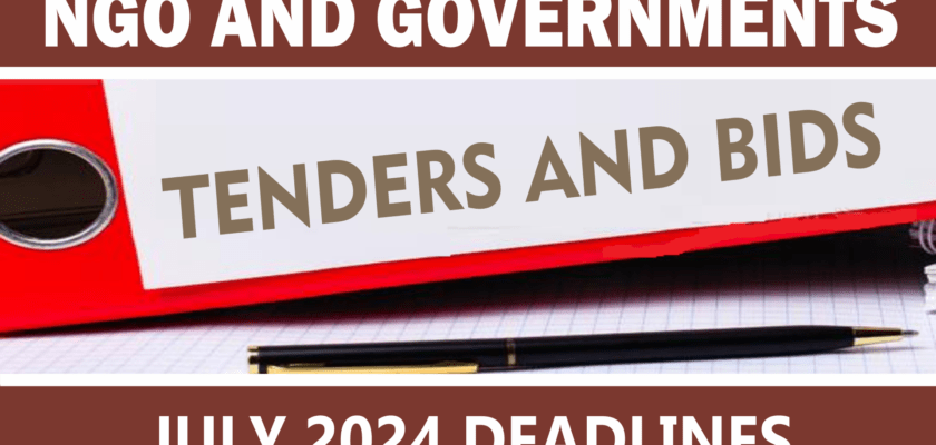 Government Journal - Ngo Tenders Nigeria August 2024 Submission Deadlines