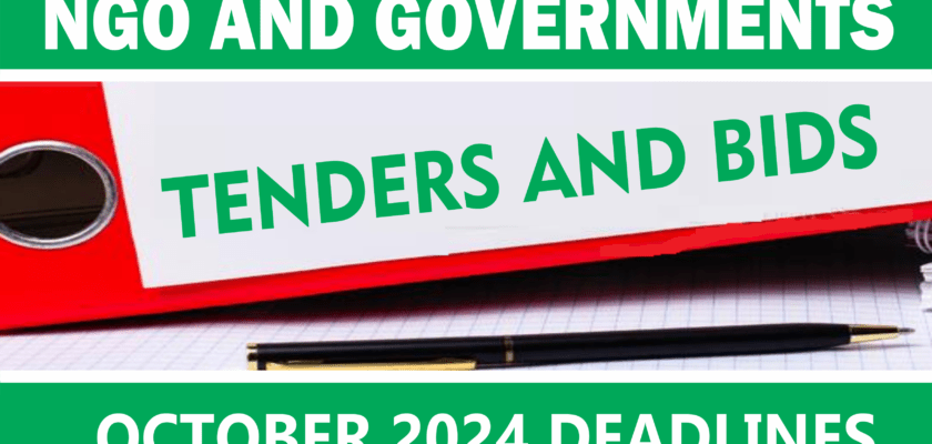 Ngo Tenders Nigeria October 2024 Submission Deadlines