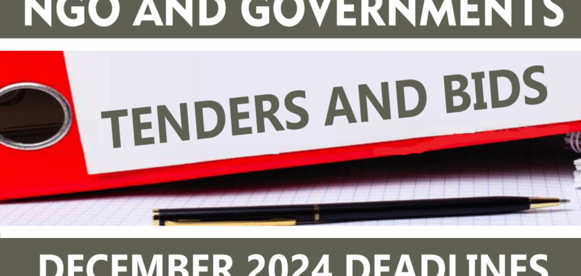 Detailed Guide On How To Register As Lagos State Government Contractors, Suppliers, Or Consultant How To Access Ngo Tenders, Embassies And Intl. Bodies Tenders In Nigeria How To Register As Cross River State Government Contractor How To Register As Rivers State Government Contractor And Service Providers Full Guide To Registration As Oyo State Government Contractor, Supplier Or Consultant How To Register As A Vendor With The United Nations (Un Agency)