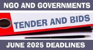 Government And Ngo Tender In Nigeria